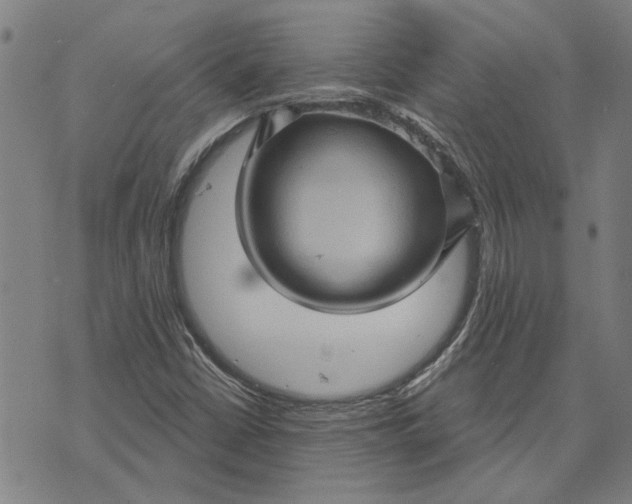 X0000073731402200608241245