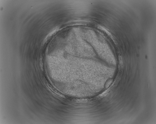 X0000073731403200608241245