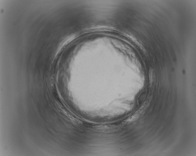 X0000073731405200608241245