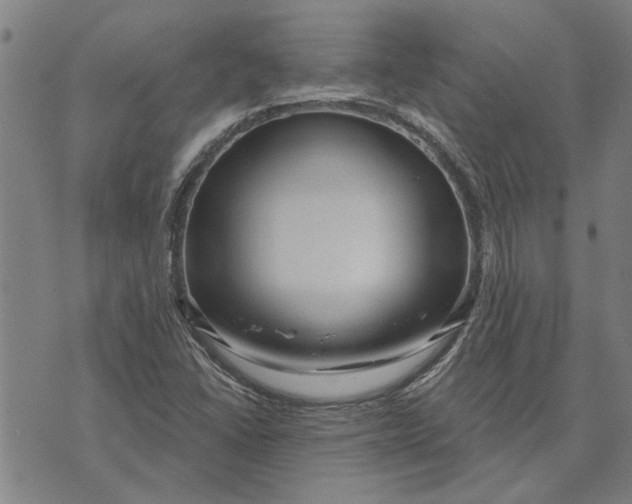 X0000073731406200608241245