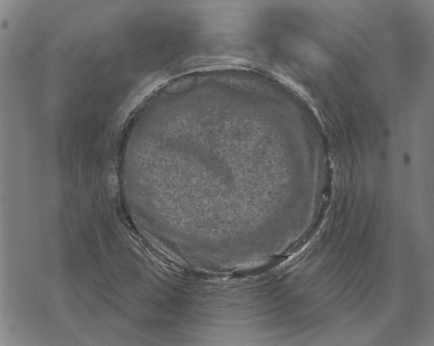 X0000073731407200608241245