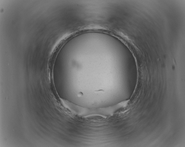 X0000073731408200608241245