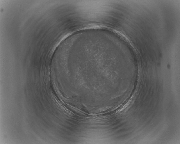 X0000073731409200608241245