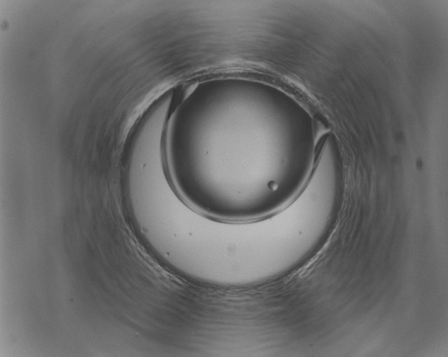 X0000073731410200608241245