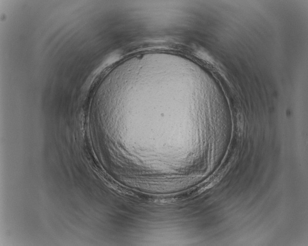 X0000073731411200608241245