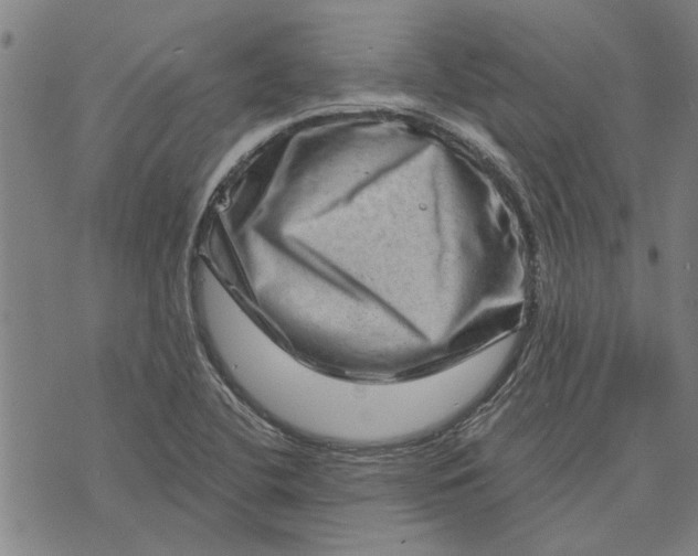 X0000073731412200608241245