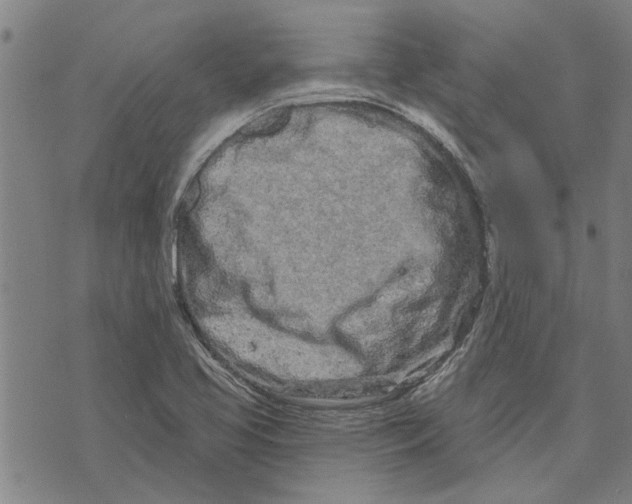 X0000073731413200608241245