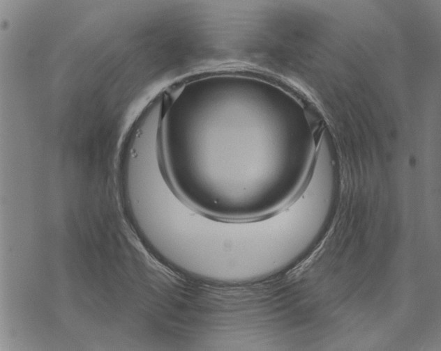 X0000073731414200608241245