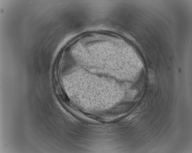 X0000073731416200608241245