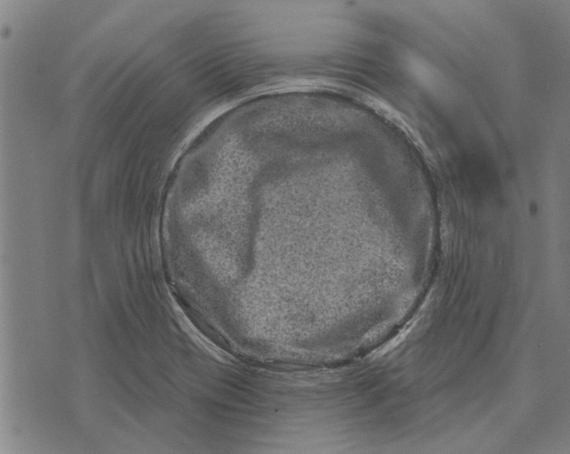 X0000073731417200608241245