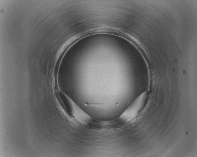 X0000073731418200608241245