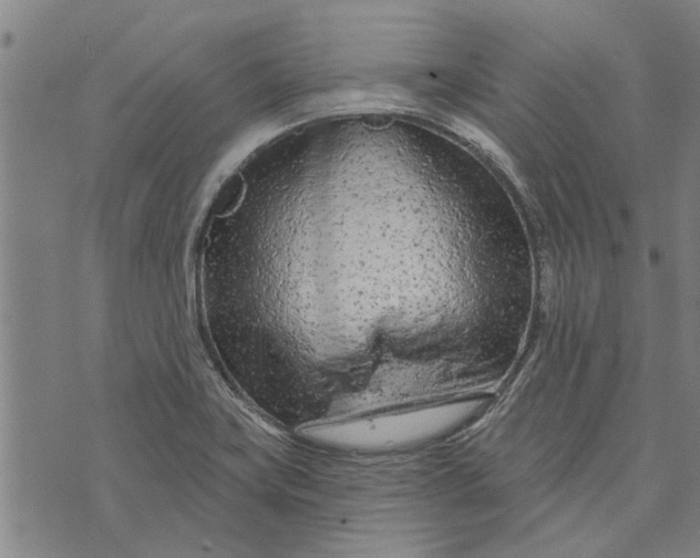 X0000073731419200608241245