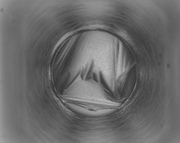 X0000073731420200608241245