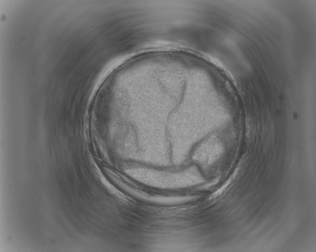 X0000073731421200608241245