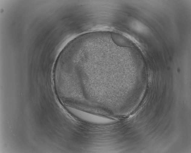 X0000073731423200608241245