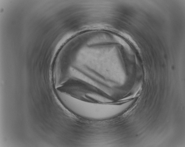 X0000073731424200608241245