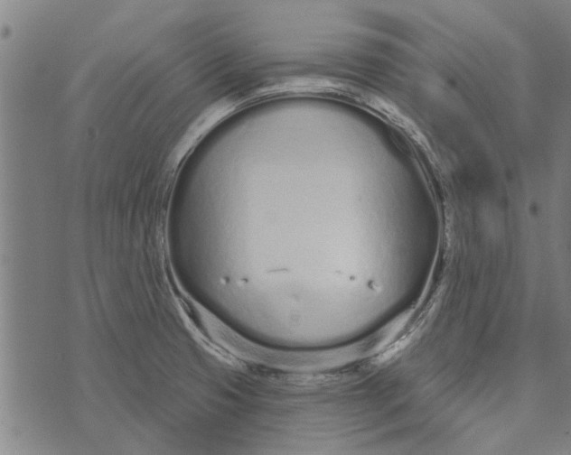 X0000073731425200608241245