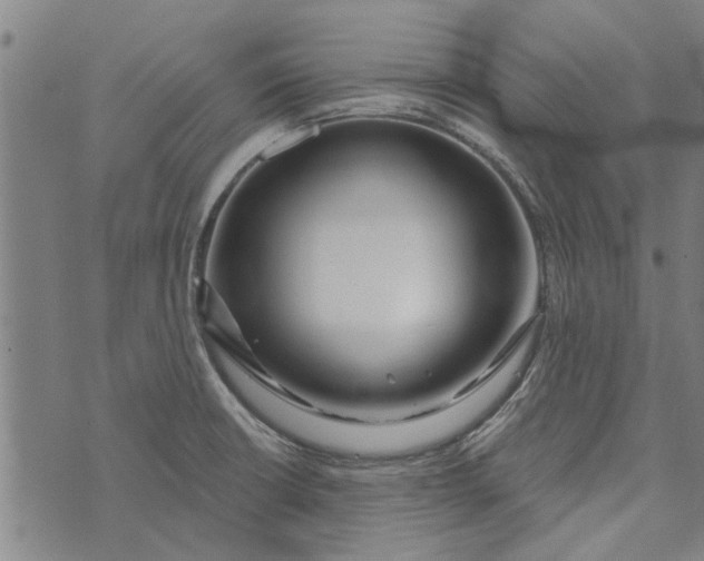 X0000073731426200608241245