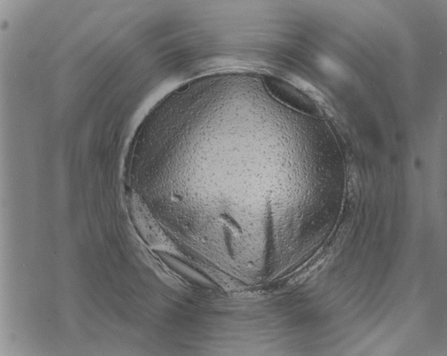 X0000073731427200608241246