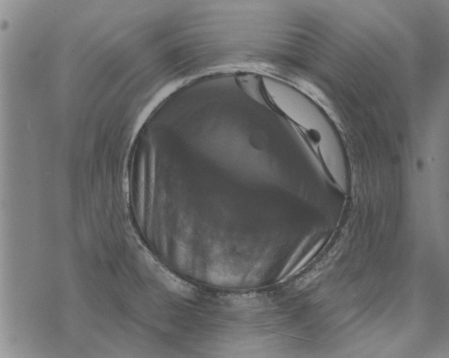 X0000073731428200608241246