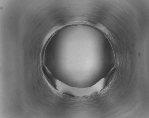 X0000073731430200608241246