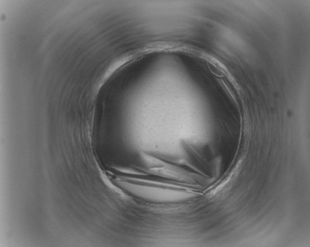 X0000073731433200608241246