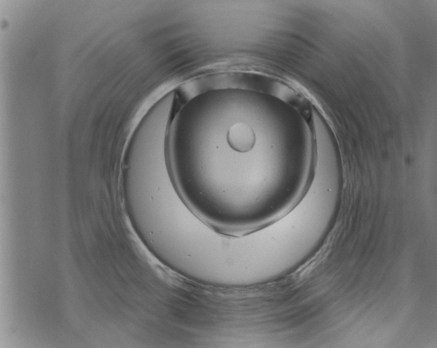 X0000073731434200608241246