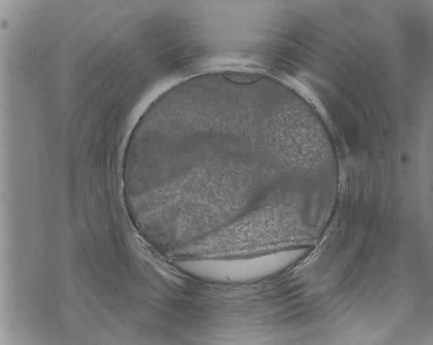 X0000073731435200608241246