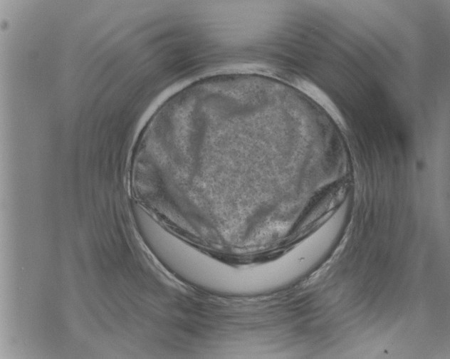 X0000073731436200608241246