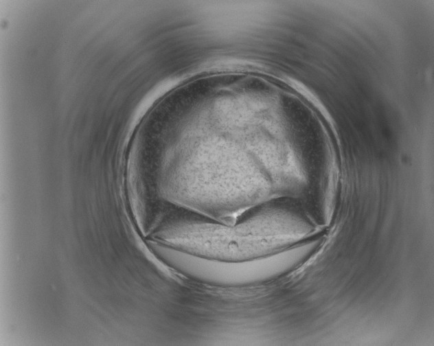 X0000073731437200608241246