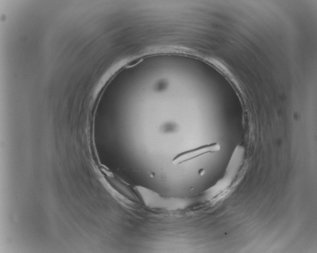 X0000073731438200608241246