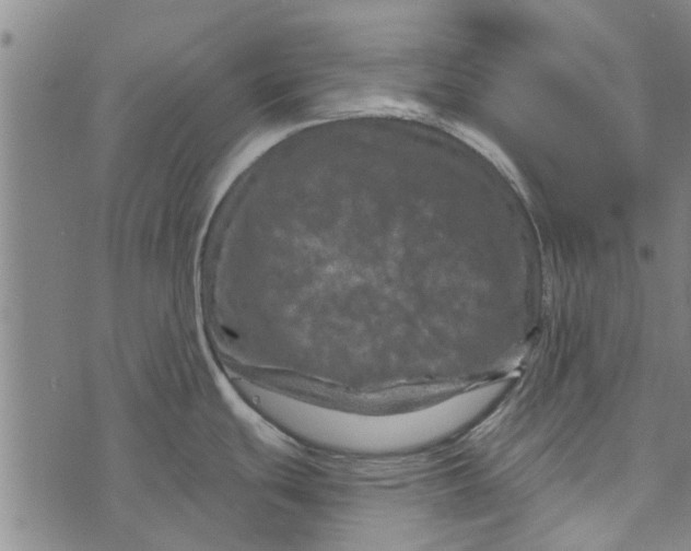 X0000073731439200608241246