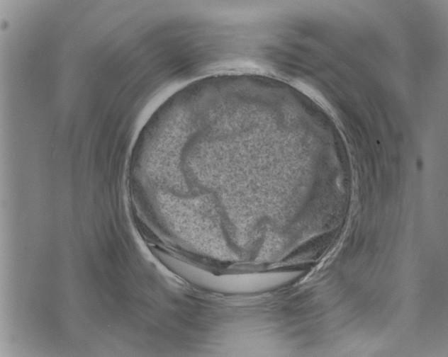 X0000073731440200608241246