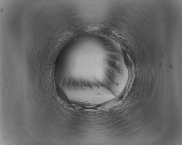 X0000073731441200608241245