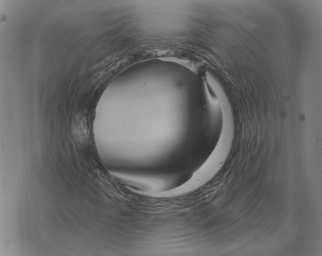 X0000073731442200608241245