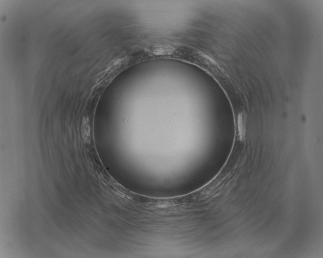 X0000073731443200608241245