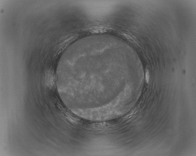 X0000073731444200608241245