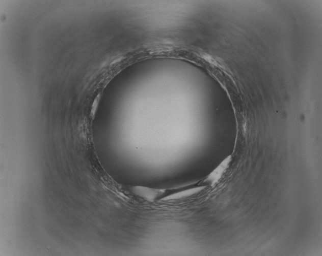 X0000073731445200608241245