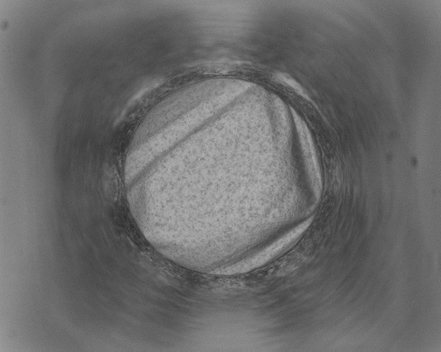 X0000073731446200608241245