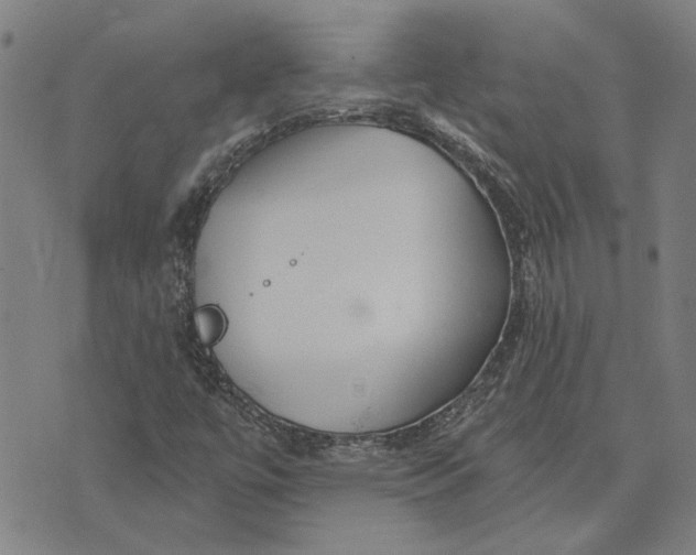 X0000073731447200608241245