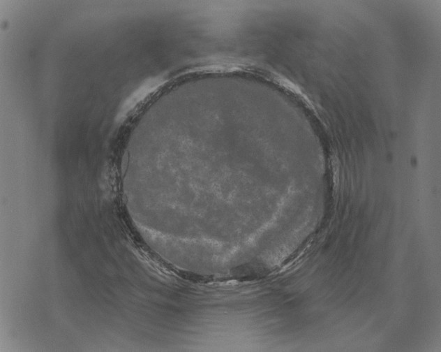 X0000073731448200608241245