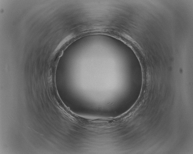 X0000073731450200608241245