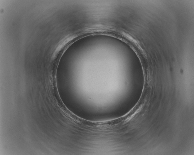 X0000073731453200608241245