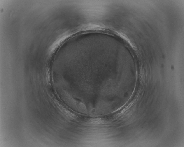 X0000073731455200608241245