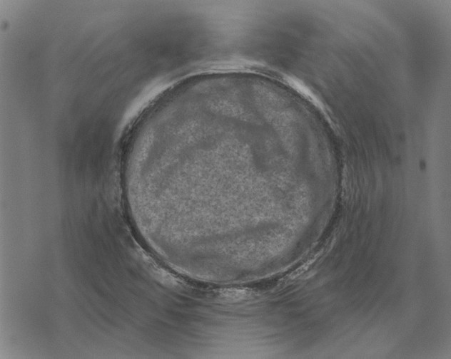 X0000073731456200608241245