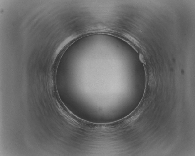 X0000073731458200608241245