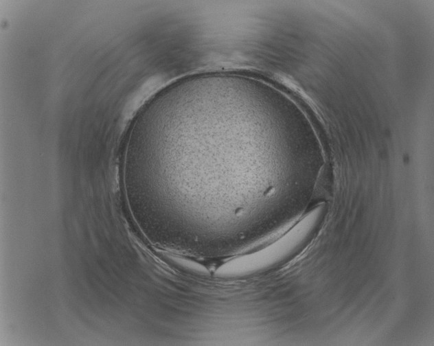 X0000073731459200608241245