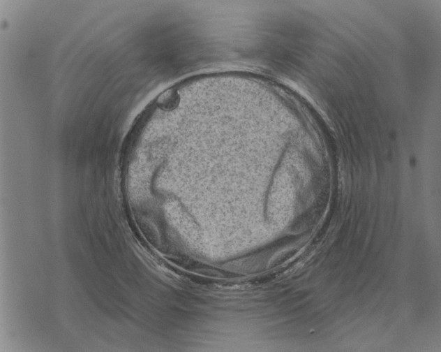 X0000073731460200608241245