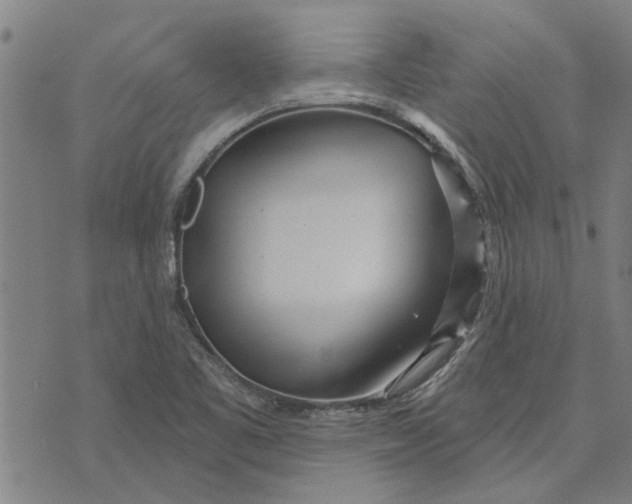 X0000073731461200608241245