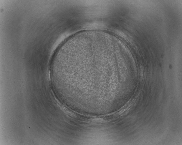 X0000073731462200608241245